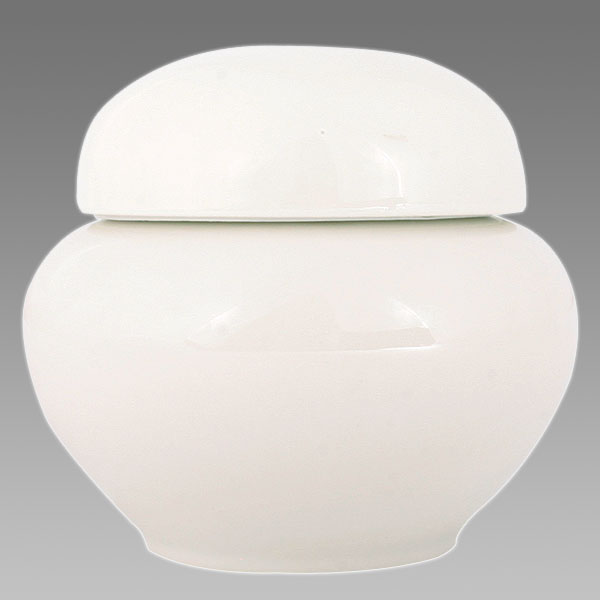 [601] 소망백자함