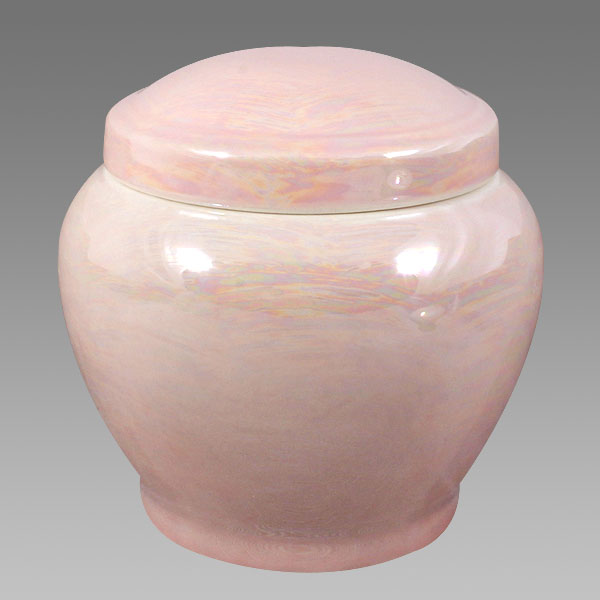 [710] 오로라핑크진공함